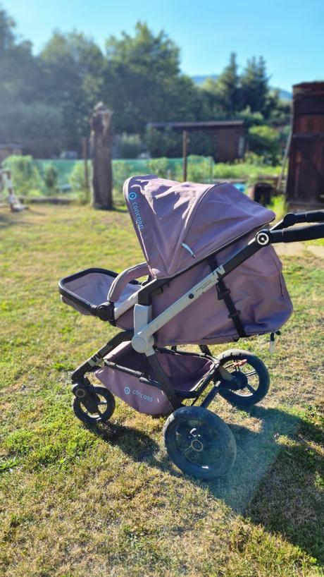 Kočík concord wanderer, concord,concord wanderer