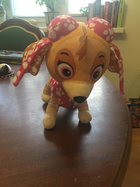 Paw patrol sky, 