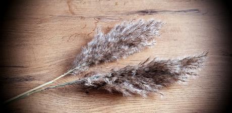 Ozdobná tráva - natural - 50 cm,