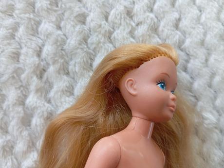Barbie skipper raritná bábika,