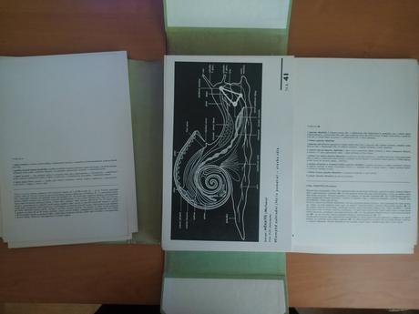 Biologický náčrtník, 