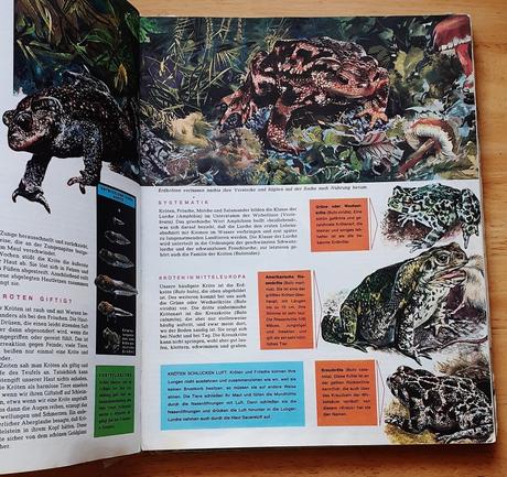 Das grosse buch der tiere in farbe, peter engel,