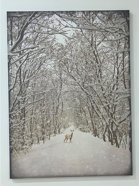 Obraz next trblietavy na slnku, 