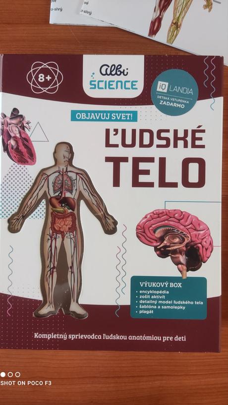 Albi ľudské telo, 