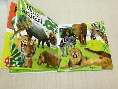 First 100 animals leporelo nau19,