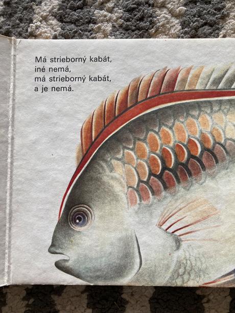 Jozef pavlovič hádanky z lesa a lúky (1983), 