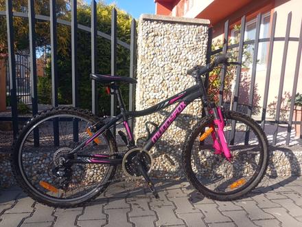 Dievčensky bicykel, 24