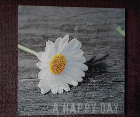 Obrázok sedmokráska, 