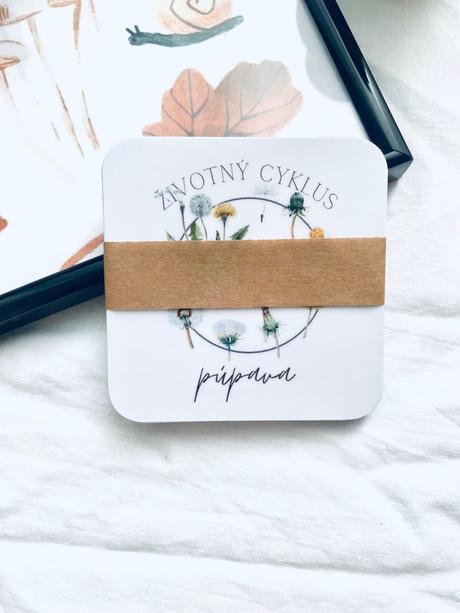 Životný cyklus - slovenské vzdelávacie kartičky,