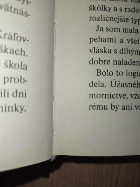 Zamilovaná do anjela, 