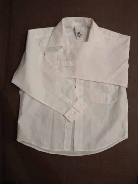 122 snehobiela kosela, palomino,122