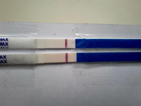 Čiarka silnie a špinenie pokračuje