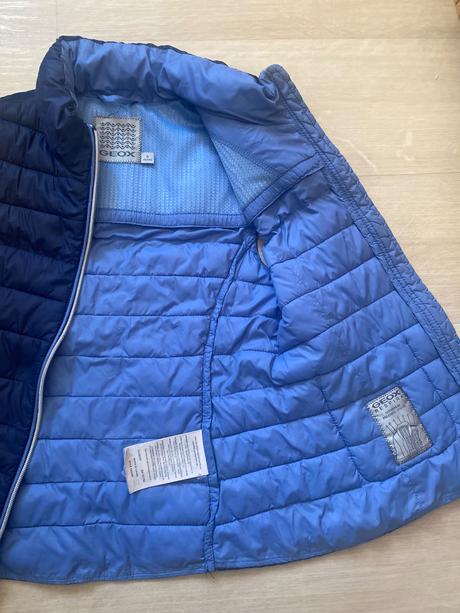 Vesta geox, geox,128