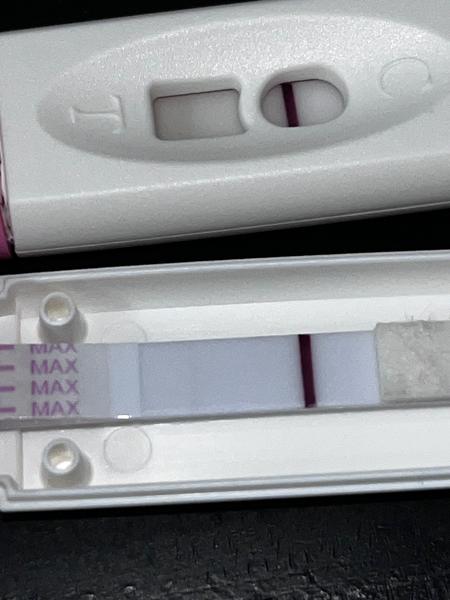 Viditeľný duch na tehotenskom teste po 12 dňoch od ovulácie?