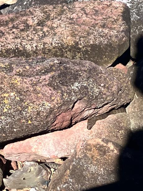 Dievčenské šaty h&m (74), h&m,74