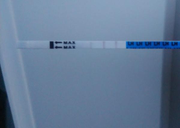 Pozitívny ovulačný test - môže sa stať, že aj tak neovulujem?