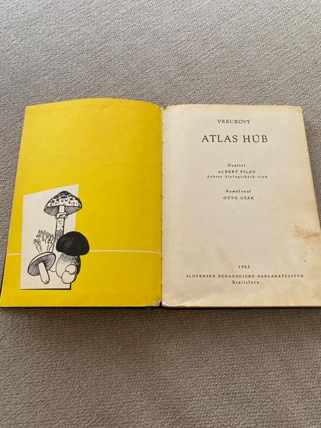 Vreckový atlas húb pilát ušák, 