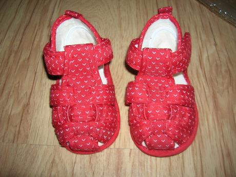 Capačky červené, gmini,18