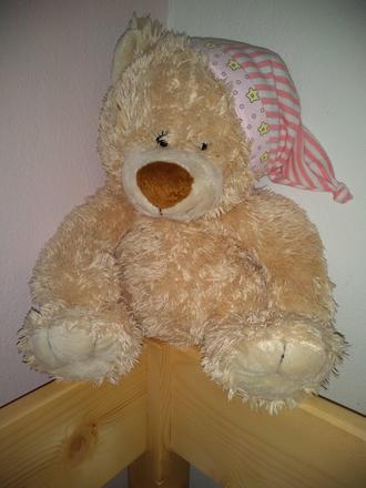 Plyšový medvedík, 