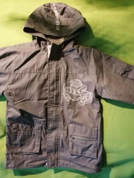 Bunda jarná tenučká, 116