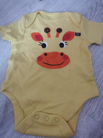 Body - 3 mesiace, f&f,62