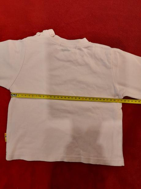 Tričko s bocianom, frog,98