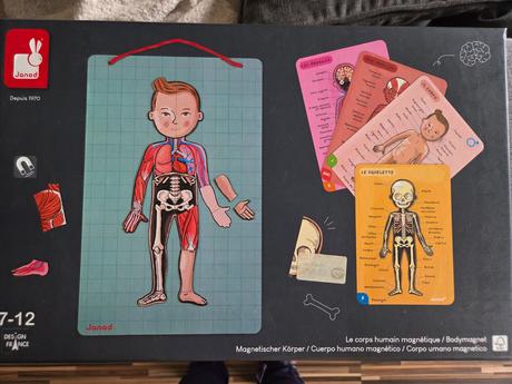 Magnetická stavebnica ľudské telo janod, 