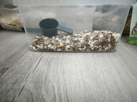 Akvárium pre hlodavce, 