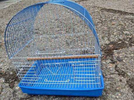 Darujem klietku pre vtáčika, 