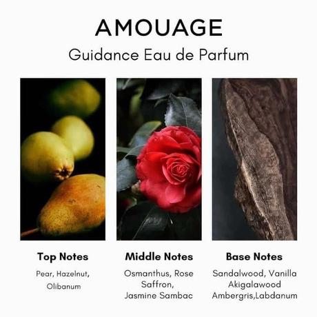 Amouage guidance,guidance46,