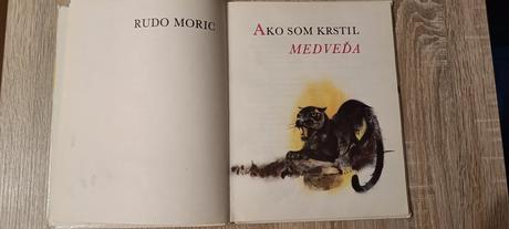 Kniha ako som krstil medveďa,