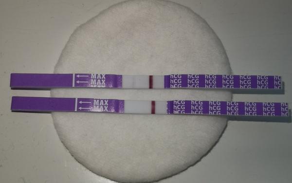 2 testy robené z jedného moču