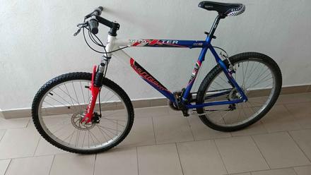 Bicykel experia traxter, veľkosť 26, 26