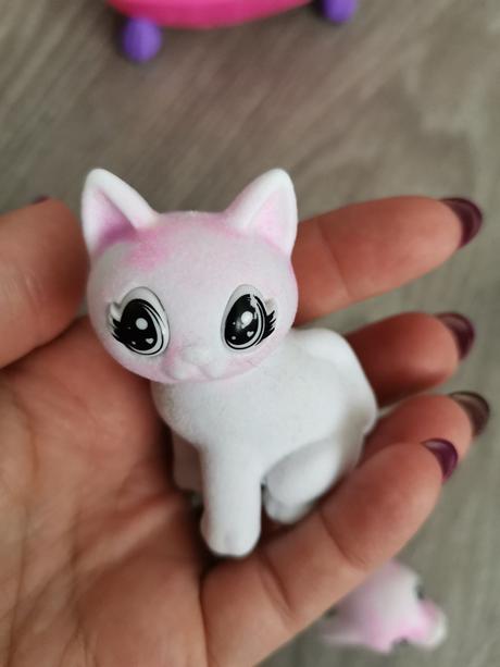 Waschimals zvieratká,