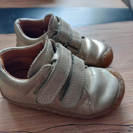 Celoročky froddo, froddo,21