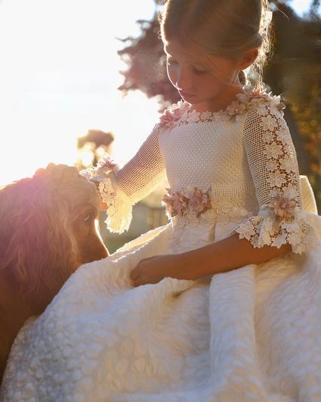 Prijimanie 10 rokov stali 1200 eur, 134