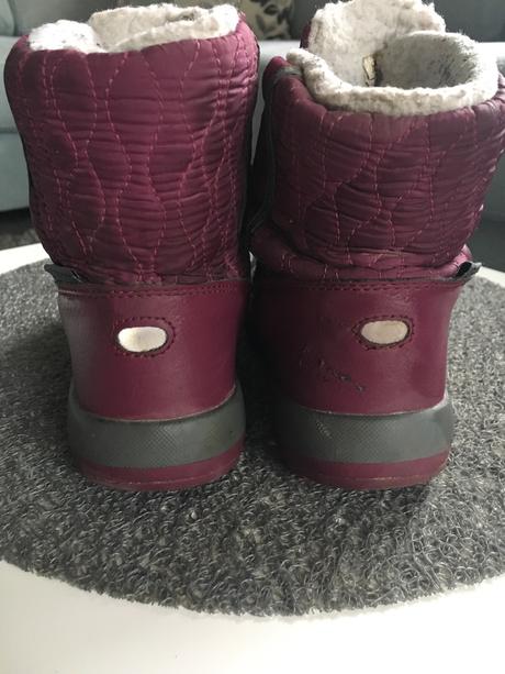 Zimné snehulky, lupilu,30