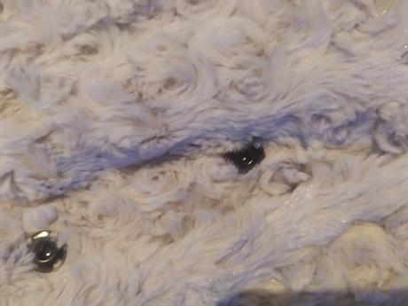 Kabátik., palomino,110