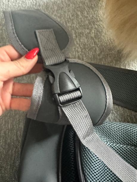 Taška pre malého psíka, 