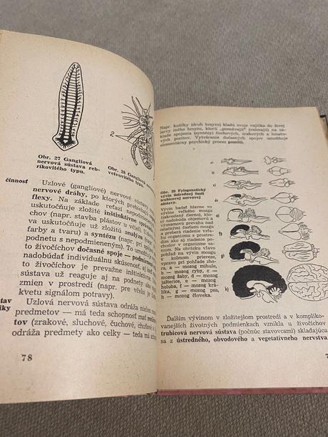 Psychológia pre gymnáziá a pedagogické školy,