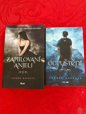 Odpušteni - zamilovani anjeli (kateova), 