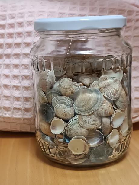 Dekoračné mušle, 