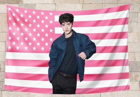 Vlajka, nástenná dekorácia noah schnapp - stranger,