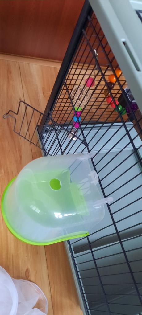 Klietka pre vtaciky, 