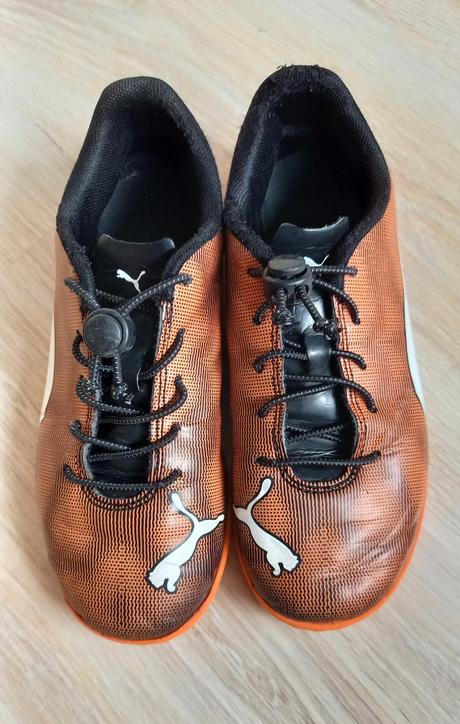 Puma halovky, puma,34