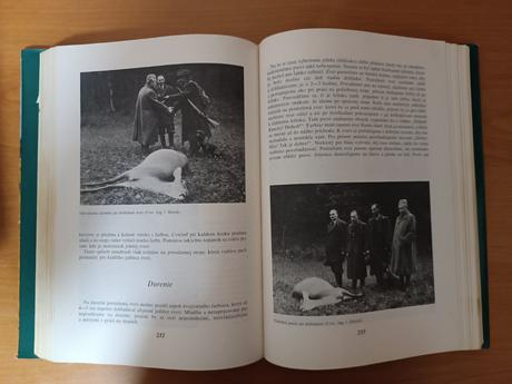 K.slimák, j.duchaj - poľovnícke psy (1982), 