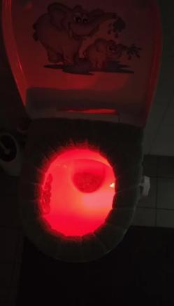 Svetlo do wc so senzorom pohybu, 