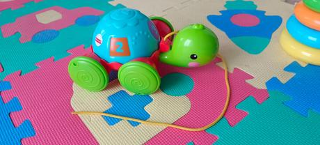 Korytnacna na tahanie, 