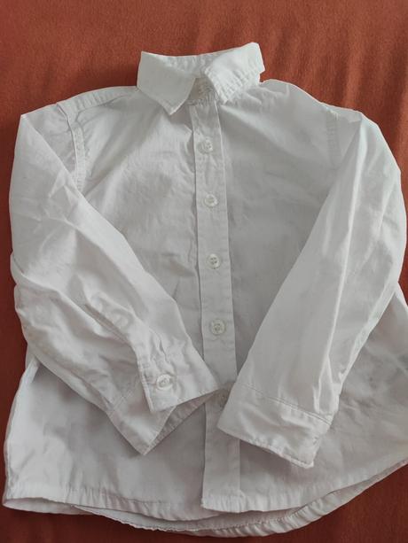 Slavnostna kosela, st. bernard,80