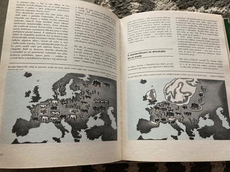 Cesta za adamom (1983), 